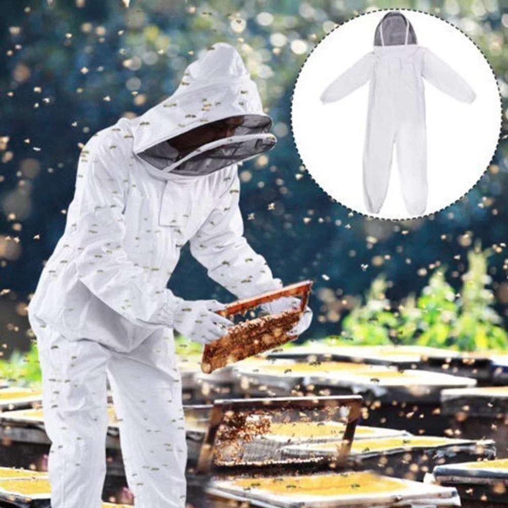 Beginning Beekeeping Kits for Sale