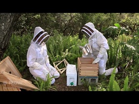 Beginning Beekeeping Kits for Sale